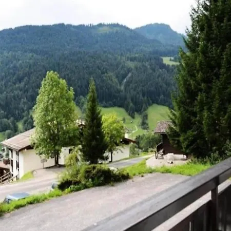 Clairiere Apartment Le Grand-Bornand